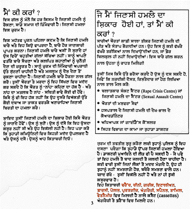 Punjabi pamphlet page 3