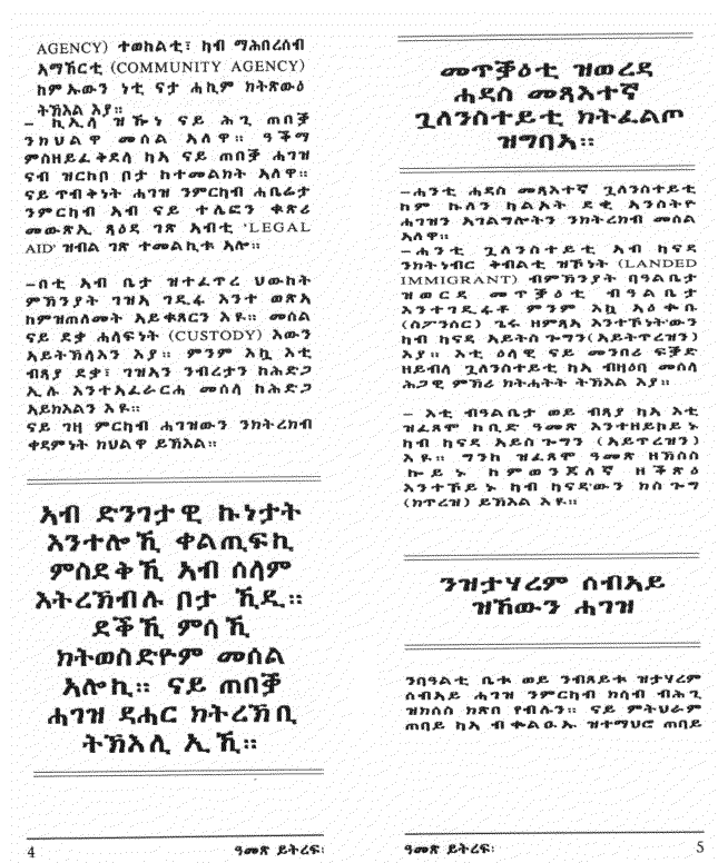 Tigrigna pamphlet page 3